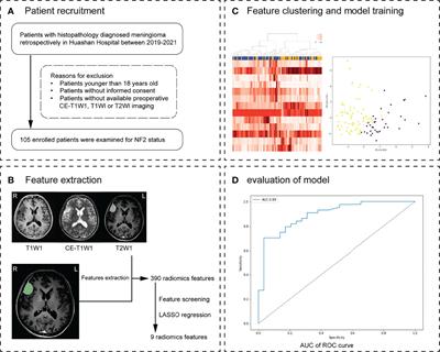 Application of MRI-Based Radiomics in Preoperative Prediction of NF2 Alteration in Intracranial Meningiomas